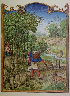 Bild Nr.1: 132-649 Grote,A. (Hrsg.).: (Faksimile)