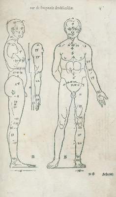 Bild Nr.2: 132-65 Dürer,A.: (Alte Drucke, Handschriften und Theologie)