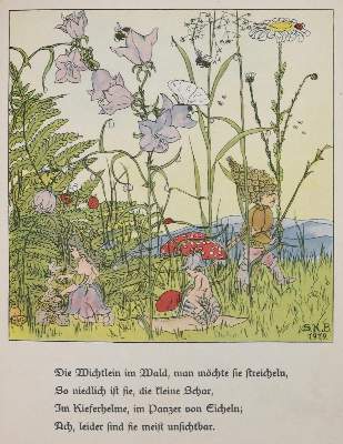 Bild Nr.1: 132-786 Brauer,S.K. (Illustr.).: (Kinder- und Jugendbücher)