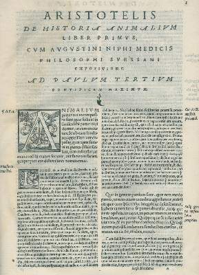 Bild Nr.2: 132-8 Nifo,A.: (Aristoteles)