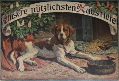 Bild Nr.1: 132-821 Sammlung: (Kinder- und Jugendbücher)
