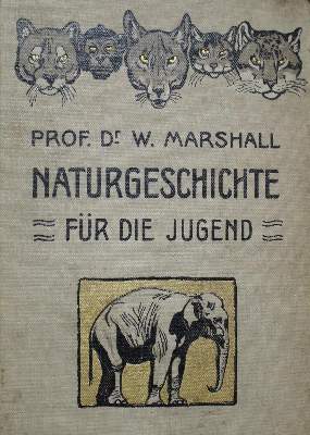 Bild Nr.1: 132-827 Sammlung: (Kinder- und Jugendbücher)