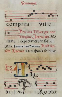 Bild Nr.2: 132-90 Antiphonar.: (Handschriften)