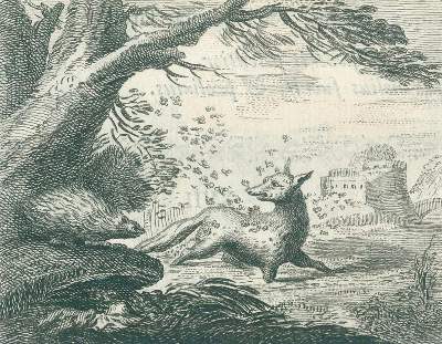 Bild Nr.1: 132-906 Faerno,G.: (Literatur und illustrierte Bücher bis 19.Jahrhundert)