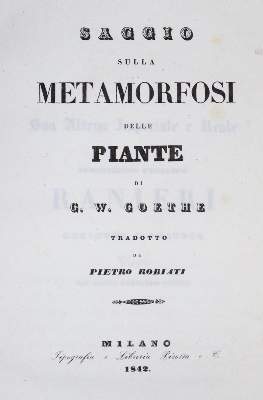 Bild Nr.1: 132-919 Goethe,J.W.v.: (Literatur und illustrierte Bücher bis 19.Jahrhundert)