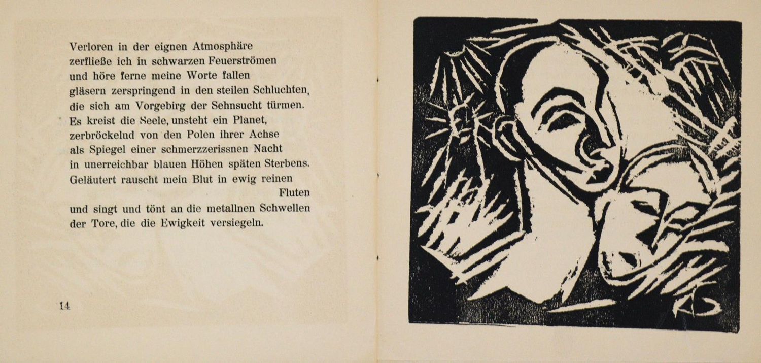 Große Abbildung Nr.2: 133-1018 Merck,W.: (Gunschmann)
