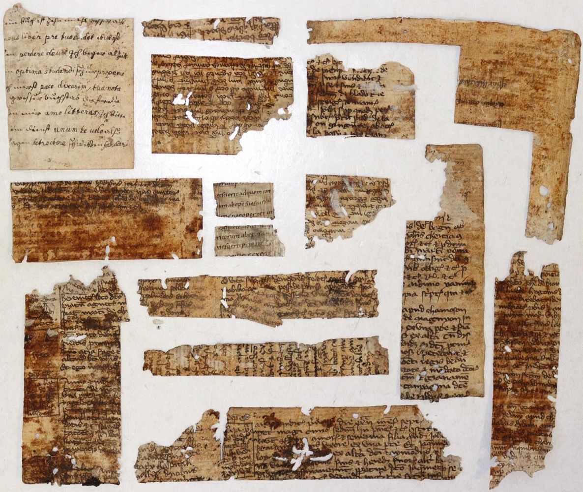 Große Abbildung Nr.4: 133-102 Einbandmakulatur.: (Handschriften)