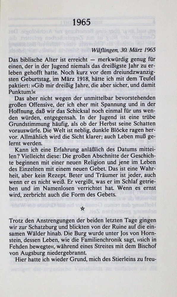 Große Abbildung Nr.2: 133-1048 Jünger,E.: (Literatur und illustrierte Bücher 20.Jahrhundert - Alte Literatur in modernen Ausgaben)