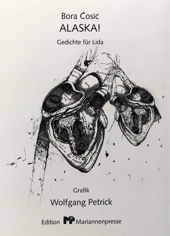 Große Abbildung Nr.7: 133-1092 Cosic,B.: (Petrick)