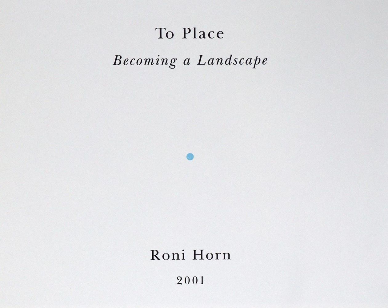 Große Abbildung Nr.4: 133-1094 Horn,R.: (Photographie)