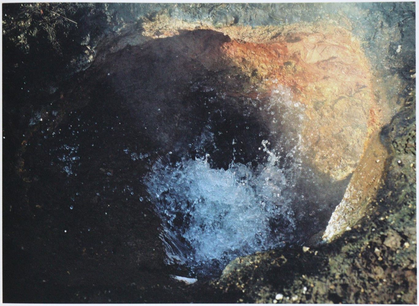 Große Abbildung Nr.5: 133-1094 Horn,R.: (Photographie)