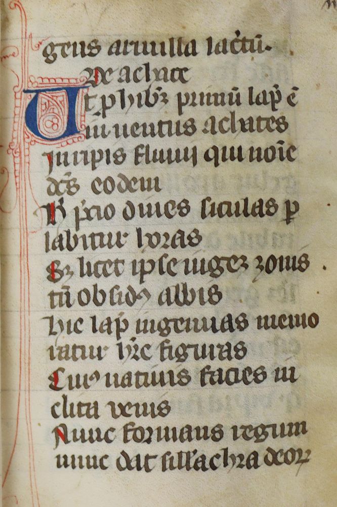 Große Abbildung Nr.1: 133-110 (Marbodus Redonensis).: (Handschriften)