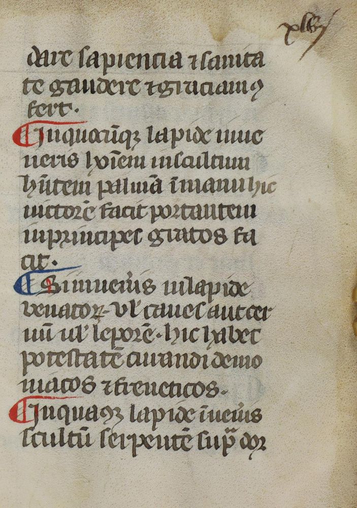 Große Abbildung Nr.3: 133-110 (Marbodus Redonensis).: (Handschriften)
