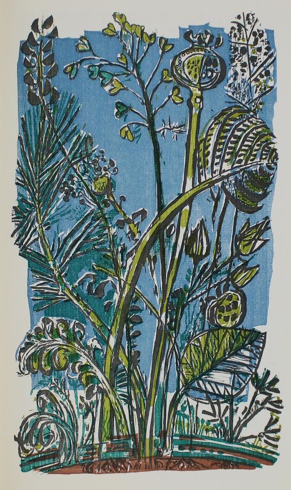Große Abbildung Nr.18: 133-1106 Pressendrucke.: (Pressendrucke)