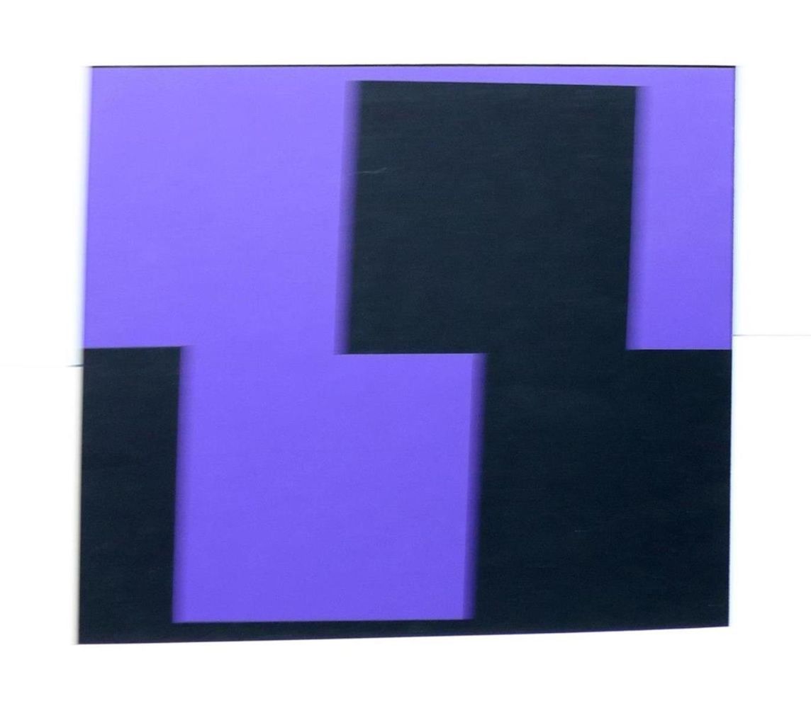 Große Abbildung Nr.14: 133-1153 Descartes,R.: (Vasarely)