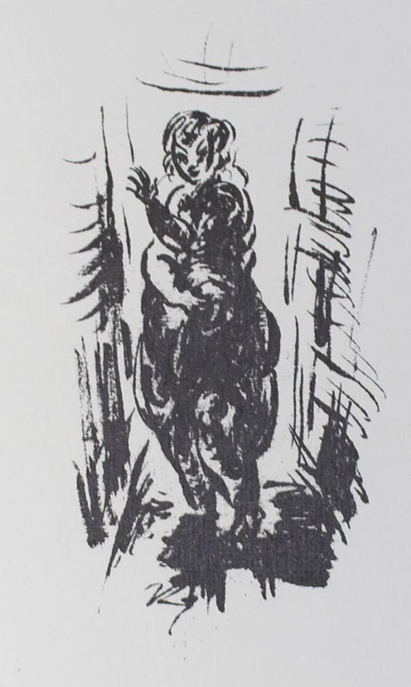 Große Abbildung Nr.1: 133-1172 Ziegler, Richard: (Literatur und illustrierte Bücher 20.Jahrhundert - Alte Literatur in modernen Ausgaben)