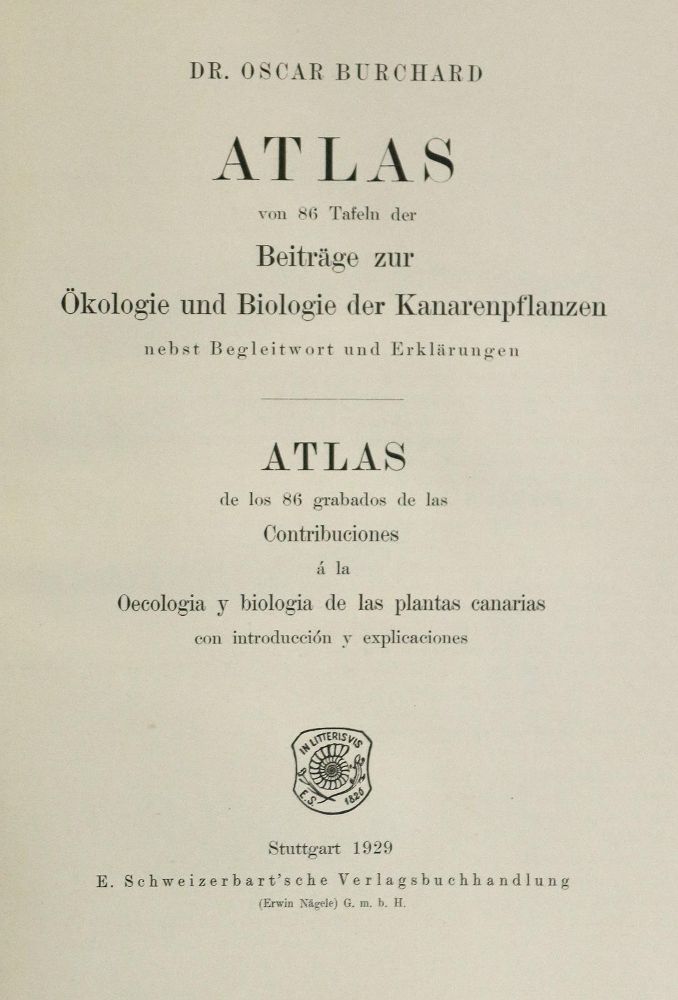 Große Abbildung Nr.1: 133-1174 Burchard,O.: (Botanik)