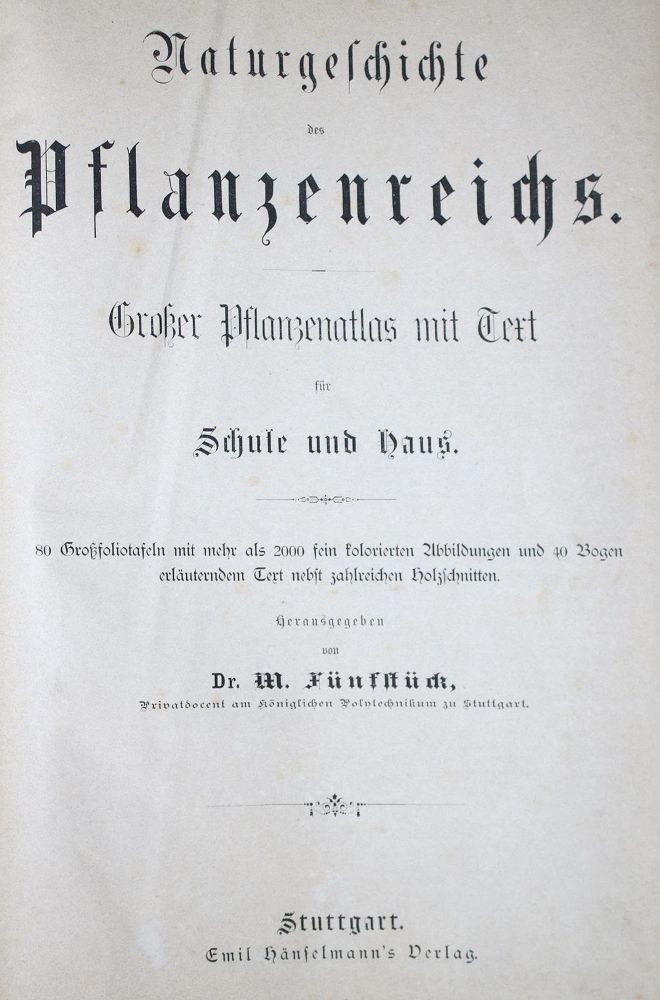 Große Abbildung Nr.1: 133-1176 Grieken,T.M.M.v.: (Botanik)