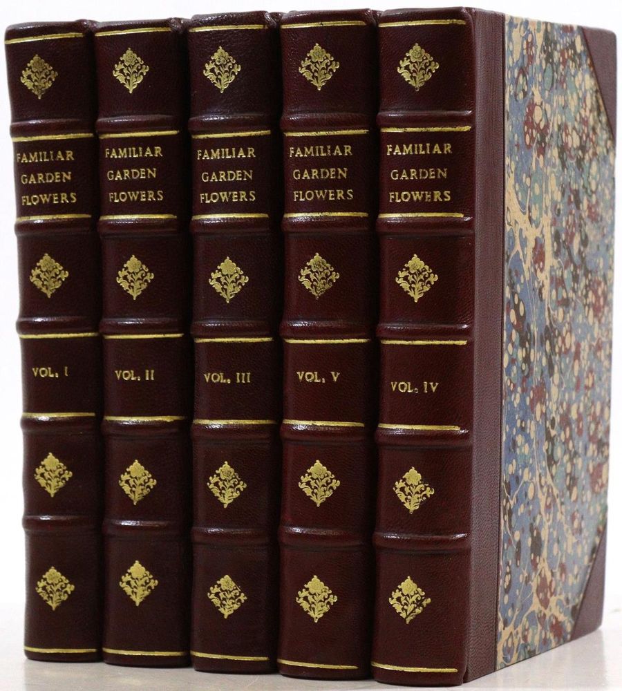 Große Abbildung Nr.1: 133-1178 Hibberd,S.: (Botanik)