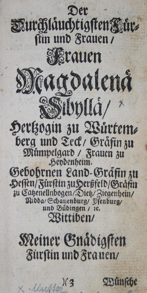 Große Abbildung Nr.1: 133-118 Hedinger,J.R.: (Alte Drucke, Handschriften und Theologie)