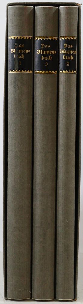 Große Abbildung Nr.4: 133-1181 Koch,R.: (Botanik)