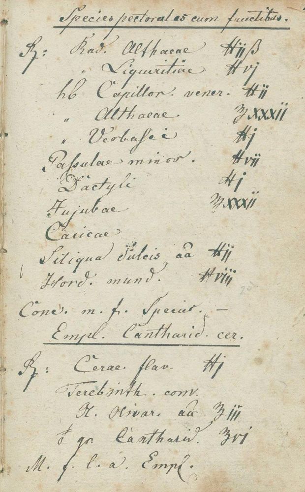 Große Abbildung Nr.1: 133-1206 Apothekerbuch: (Medizin, Handschriften, Pharmazie)