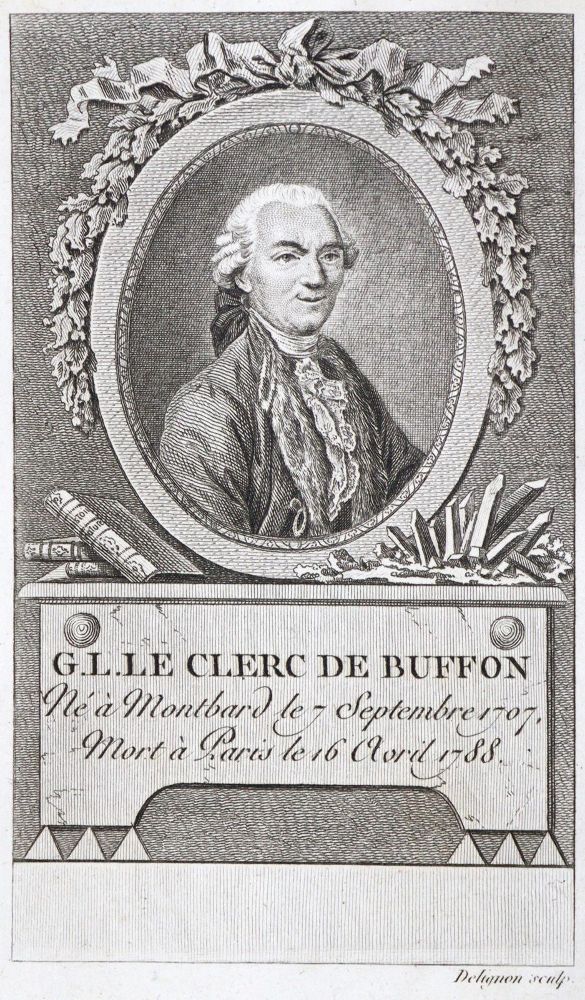 Große Abbildung Nr.2: 133-1237 Buffon,(G.L.L.)de.: (Zoologie)
