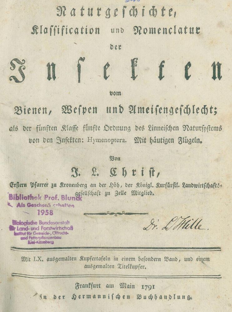 Große Abbildung Nr.1: 133-1248 Christ,J.L.: (Zoologie, Insekten)