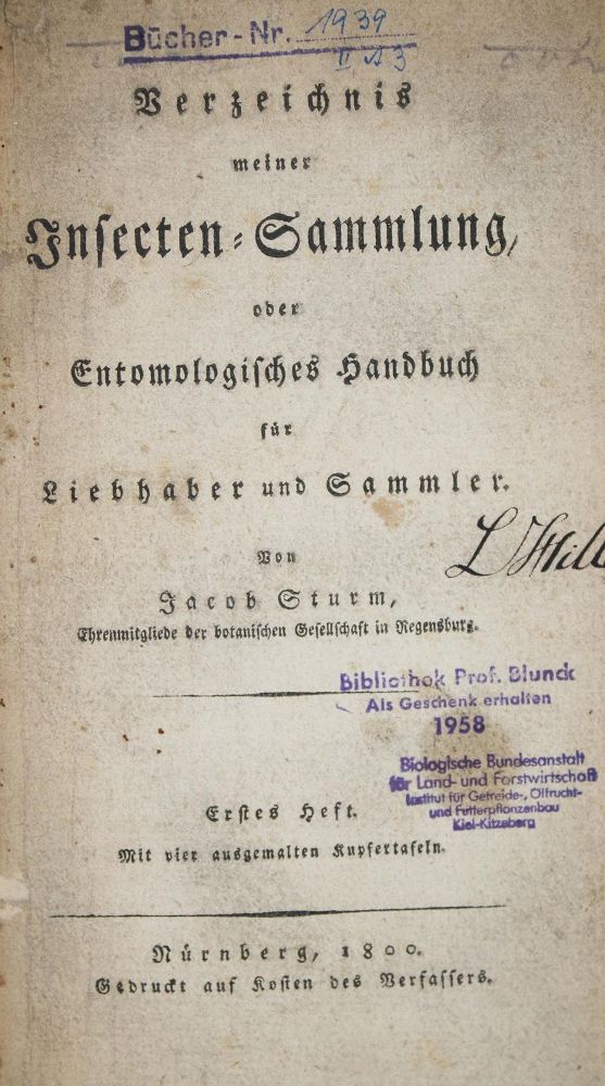 Große Abbildung Nr.1: 133-1252 Sturm,J.: (Zoologie, Insekten)