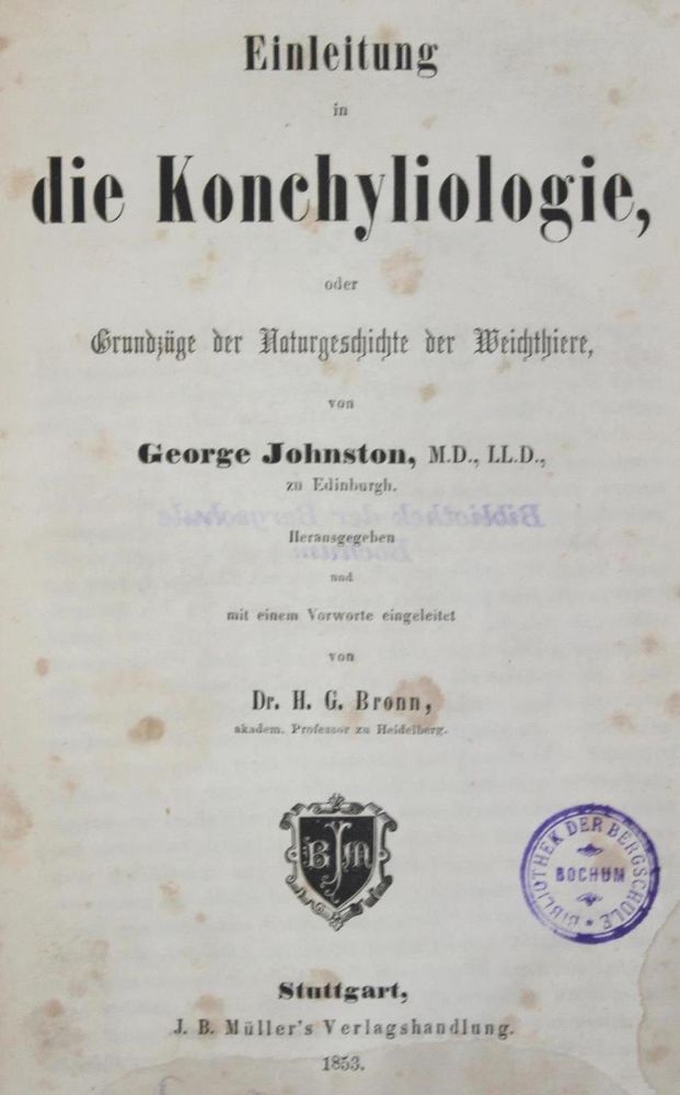 Große Abbildung Nr.1: 133-1254 Johnston,G.: (Zoologie, Konchyliologie)