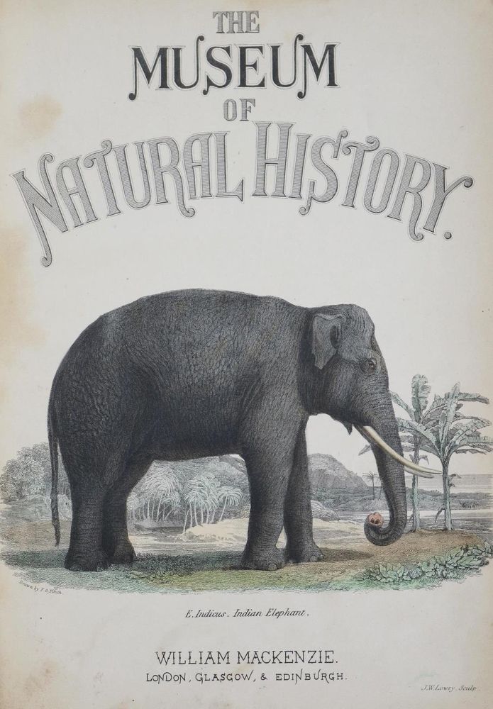 Große Abbildung Nr.3: 133-1266 Richardson,J. u.a.: (Zoologie)