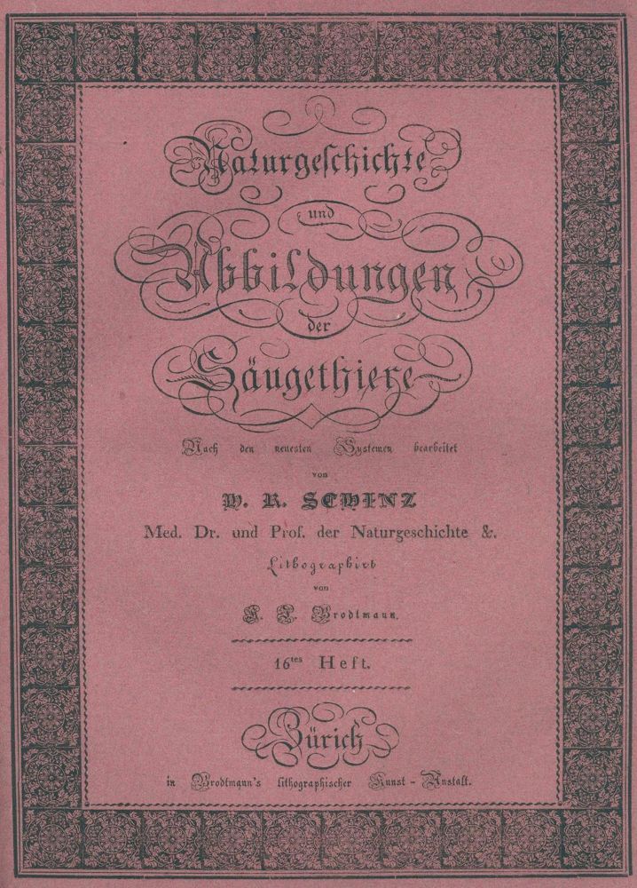 Große Abbildung Nr.2: 133-1273 Schinz,H.R.: (Zoologie)