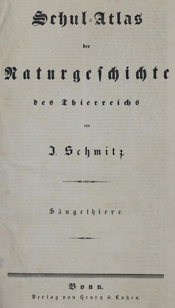 Große Abbildung Nr.3: 133-1276 Schmitz,J.: (Zoologie)