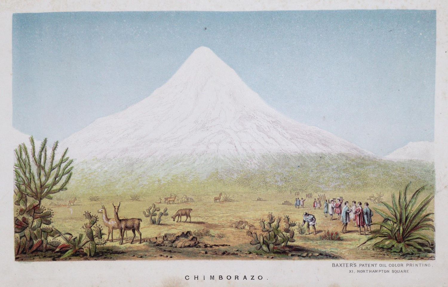Große Abbildung Nr.1: 133-1314 Humboldt,A.v.: (Verschiedene Gebiete - Varia)