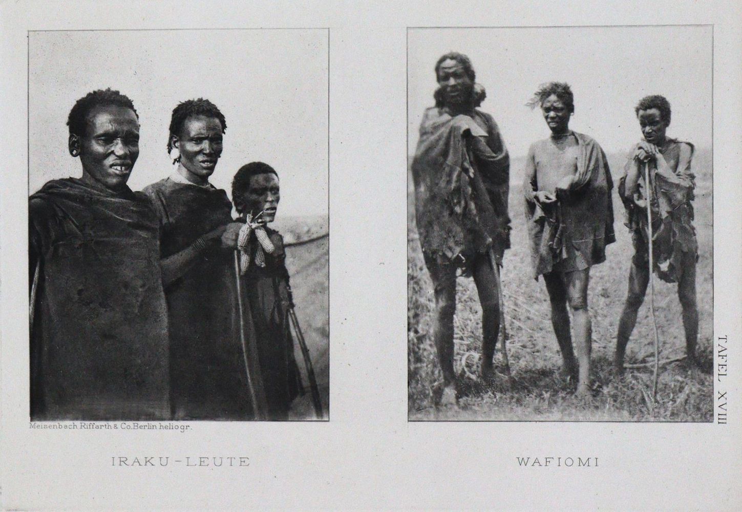 Große Abbildung Nr.4: 133-1349 Baumann,O.: (Afrika)