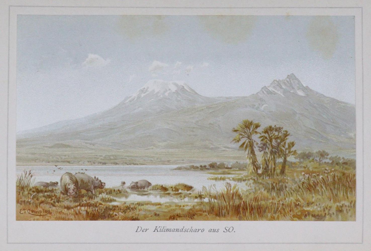 Große Abbildung Nr.1: 133-1352 Meyer,H.: (Afrika)