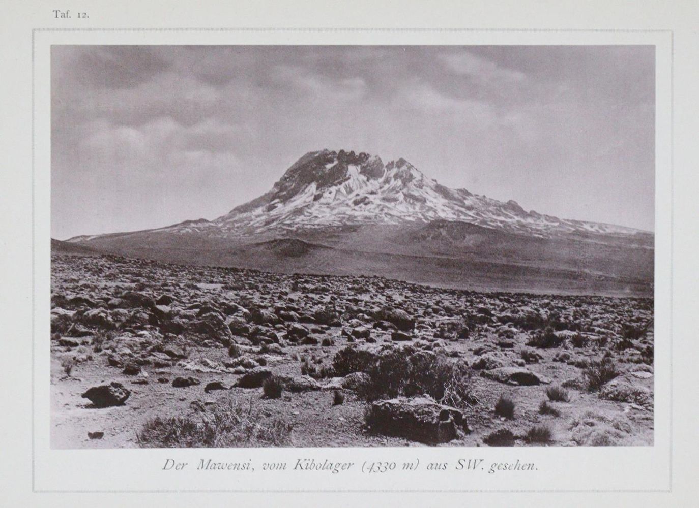 Große Abbildung Nr.3: 133-1352 Meyer,H.: (Afrika)