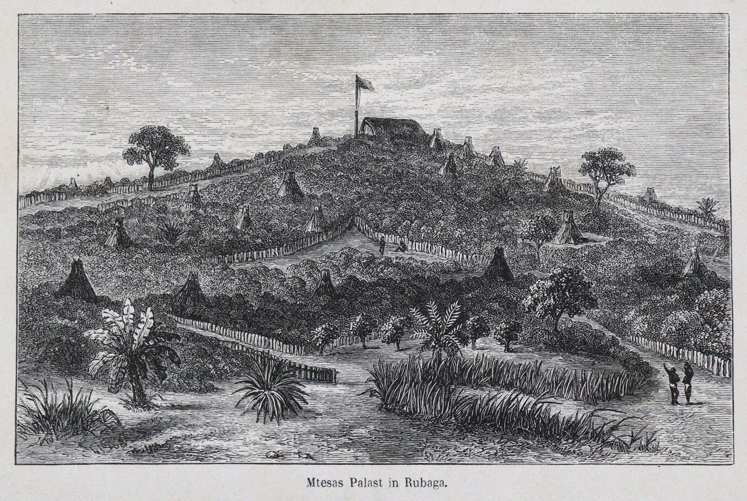 Große Abbildung Nr.1: 133-1356 Wilson,C.T. u. Felkin,R.W.: (Afrika)