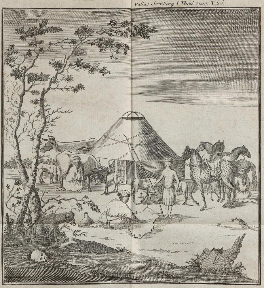 Große Abbildung Nr.1: 133-1390 Pallas,P.S.: (Asien, Mongolei)