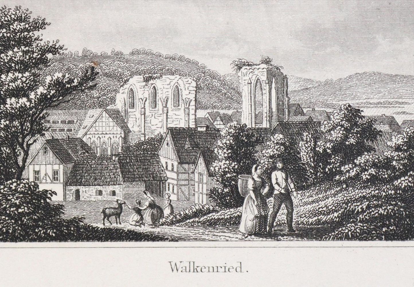 Große Abbildung Nr.1: 133-1497 Ripe,W.: (Deutschland, Harz)