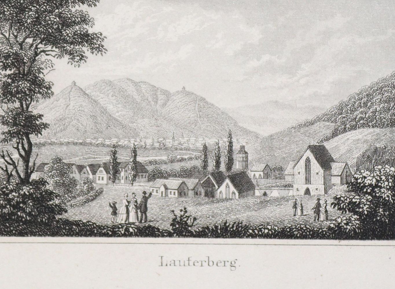 Große Abbildung Nr.2: 133-1497 Ripe,W.: (Deutschland, Harz)