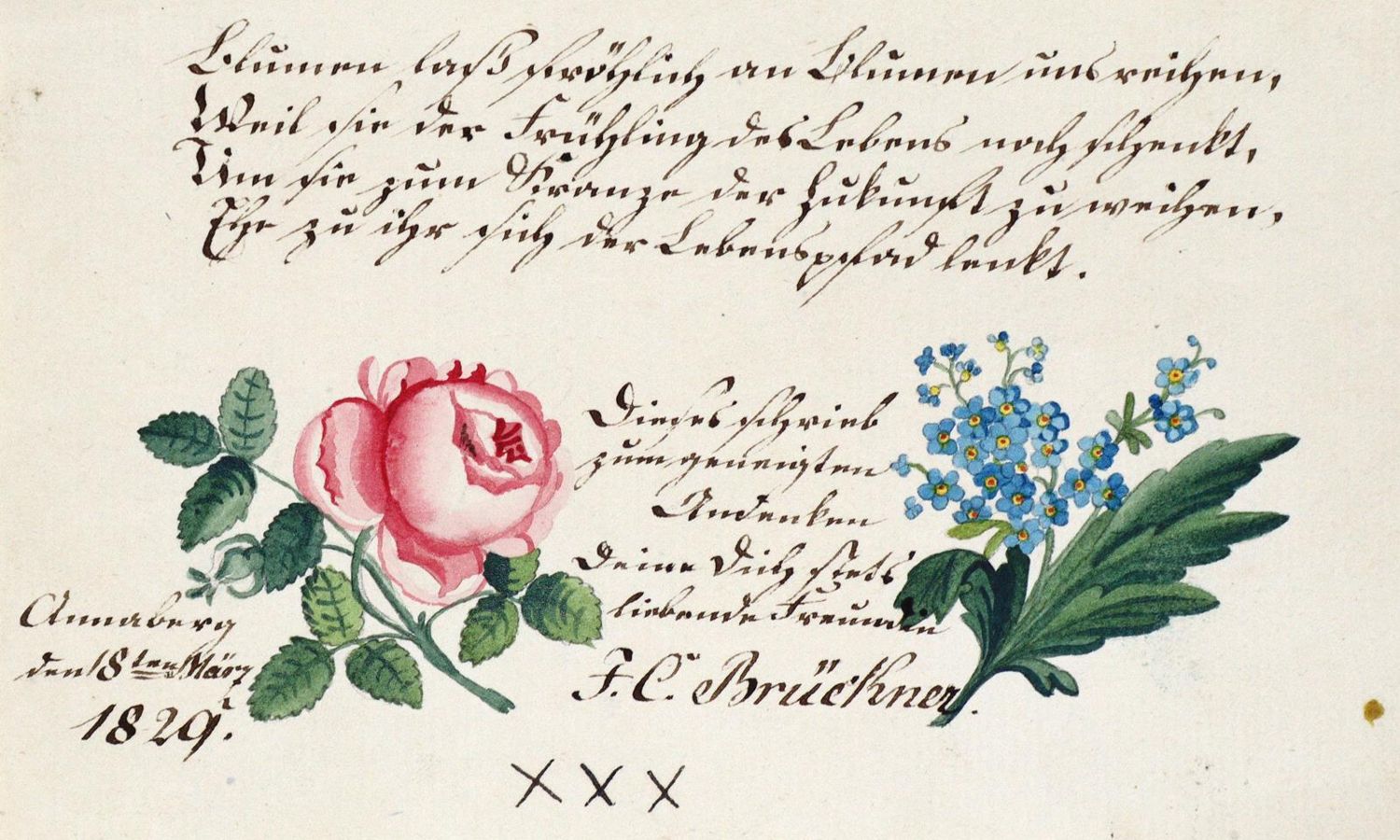 Große Abbildung Nr.1: 133-1532 Album amicorum.: (Deutschland, Sachsen, Handschriften)
