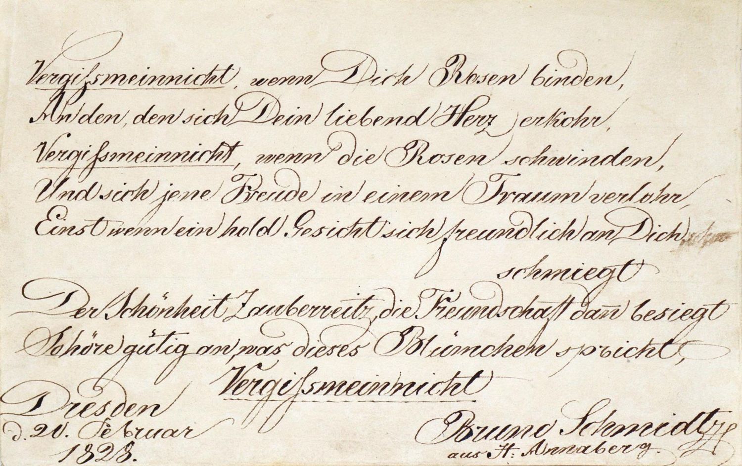 Große Abbildung Nr.2: 133-1532 Album amicorum.: (Deutschland, Sachsen, Handschriften)
