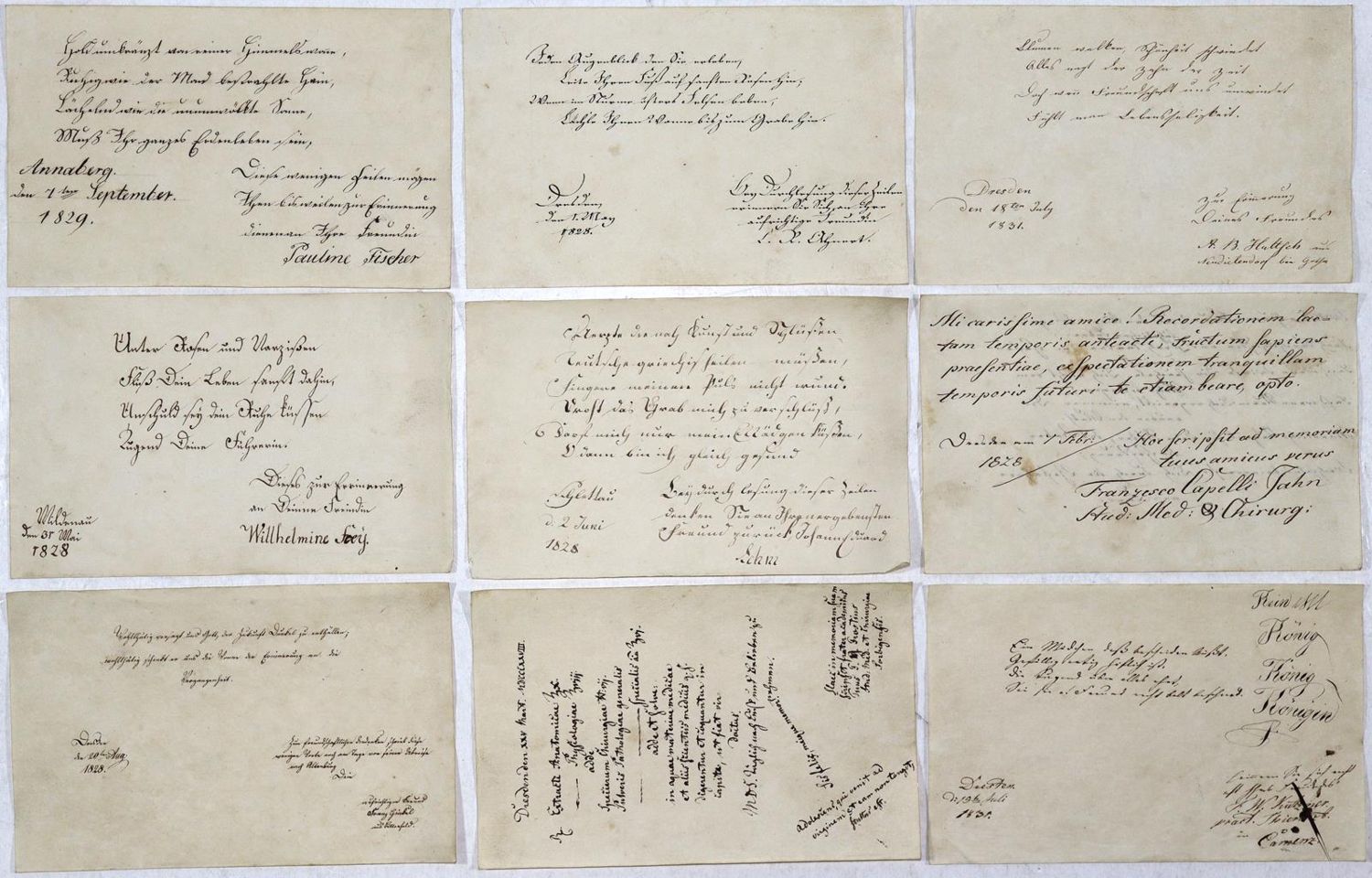 Große Abbildung Nr.7: 133-1532 Album amicorum.: (Deutschland, Sachsen, Handschriften)