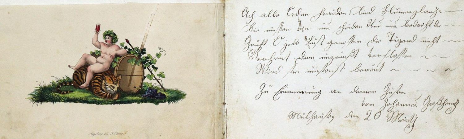 Große Abbildung Nr.3: 133-1564 Album amicorum.: (Frankreich, Mülhausen, Handschriften)