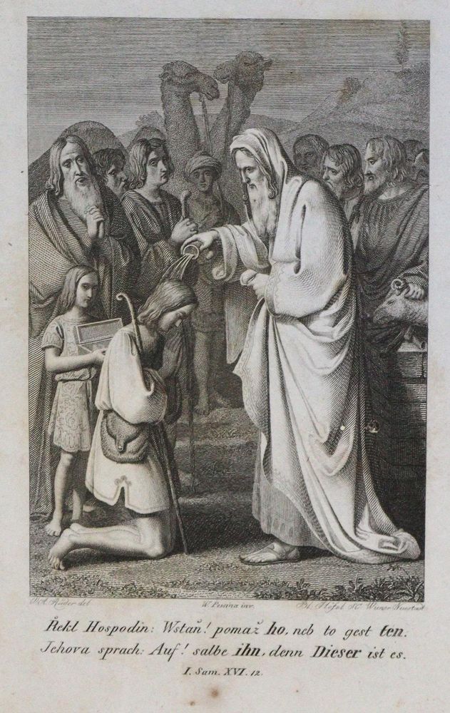 Große Abbildung Nr.3: 133-1593 Pessina von Czechorod,V.M.: (Österreich, Böhmen)