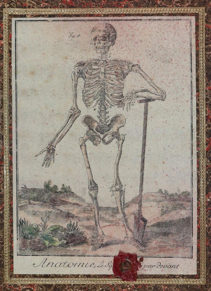Große Abbildung Nr.2: 133-1762 Reiseapotheke Giftapotheke.: (Varia, Medizin)