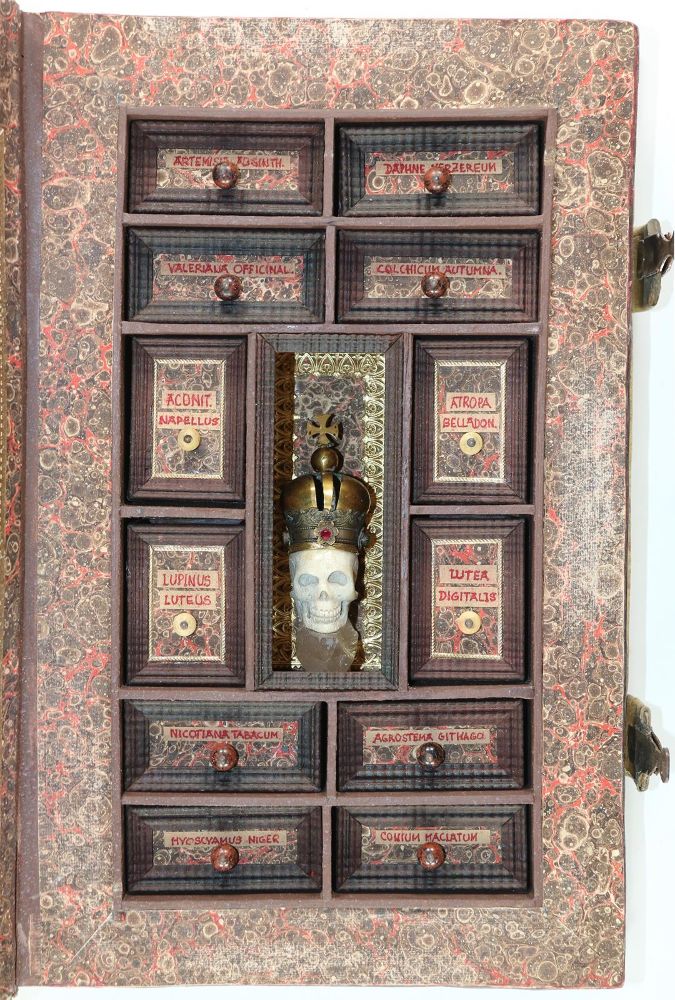 Große Abbildung Nr.3: 133-1762 Reiseapotheke Giftapotheke.: (Varia, Medizin)