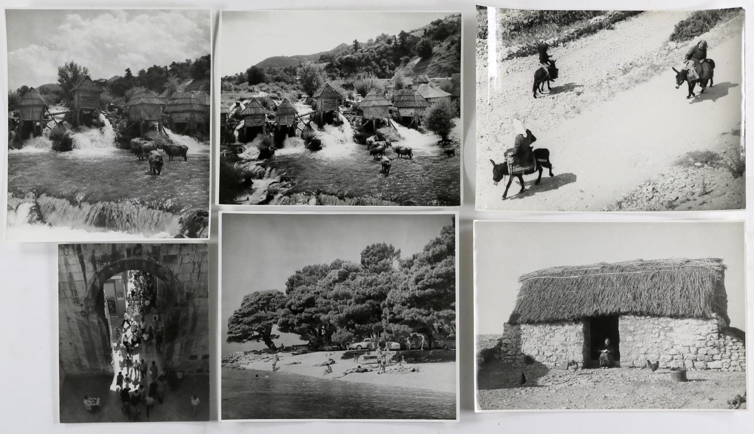 Große Abbildung Nr.3: 133-2032 Dabac, Toso: (Photographie)