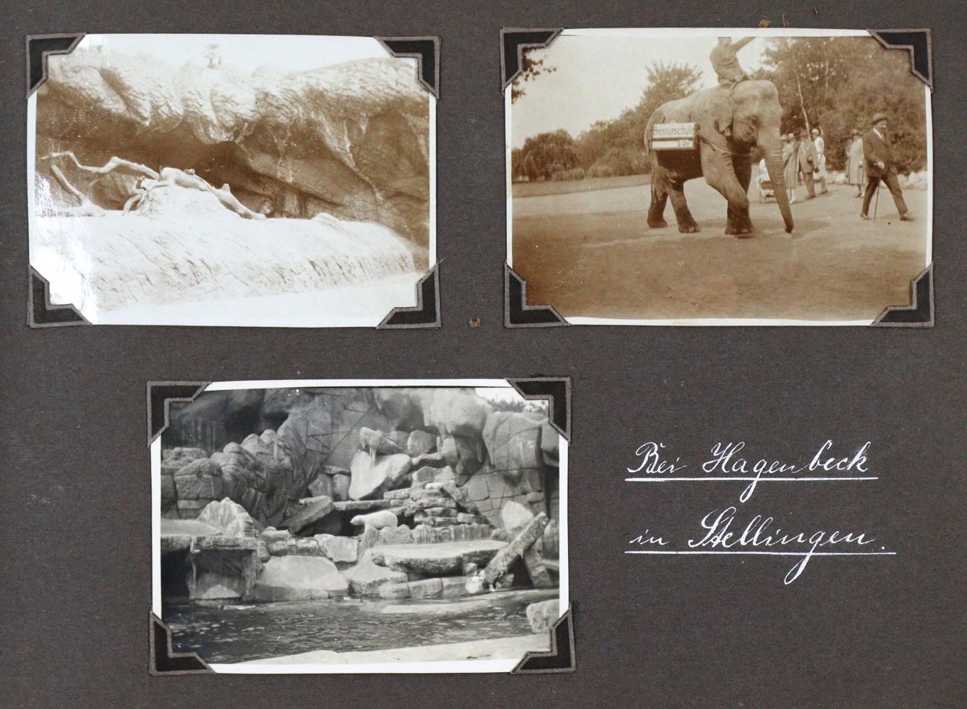 Große Abbildung Nr.2: 133-2042 Norwegen.: (Photographie)
